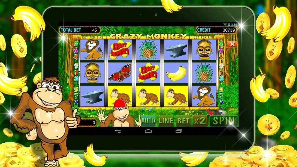 crazy monkey